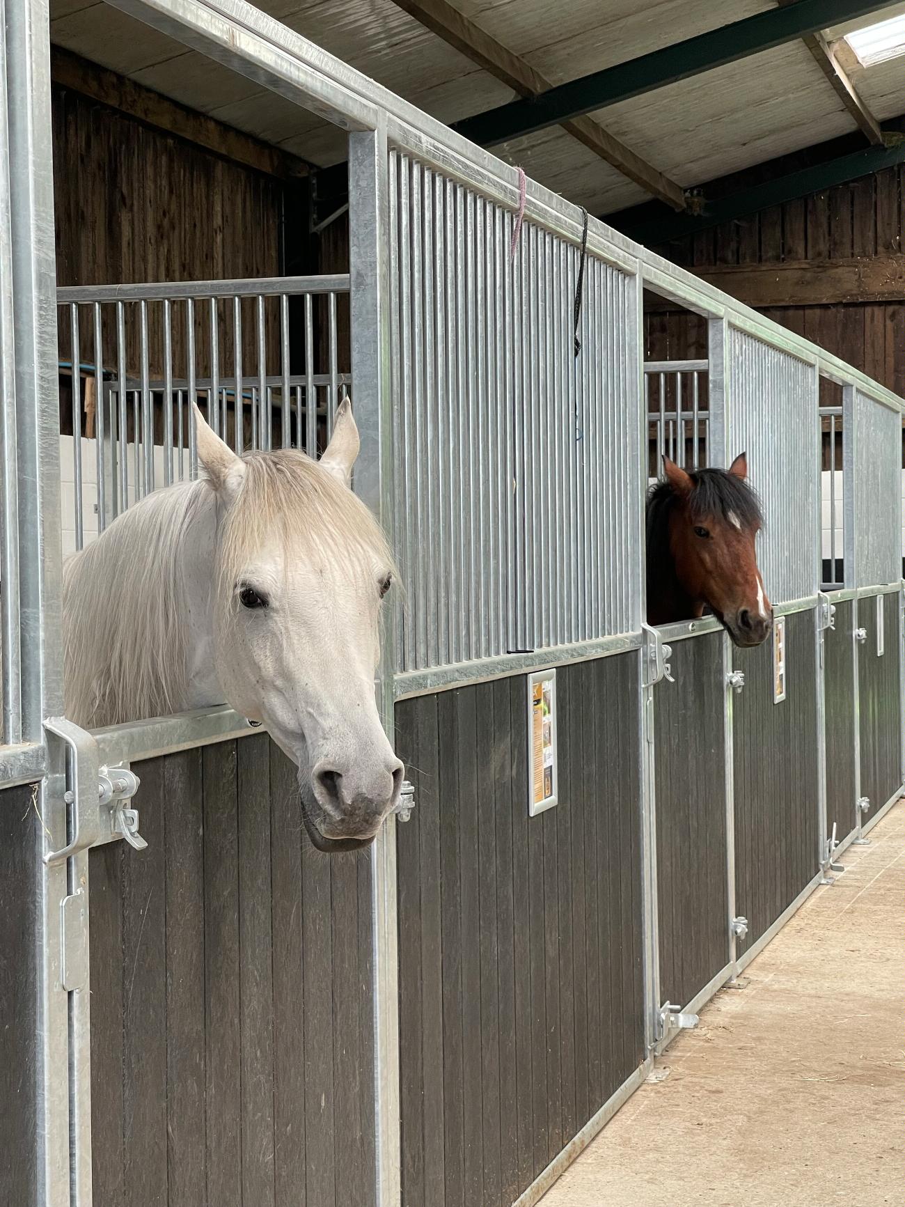 Internal Stables | equestrian stables, barn stable manufacturers, arena construction in Lancashire gallery image 33