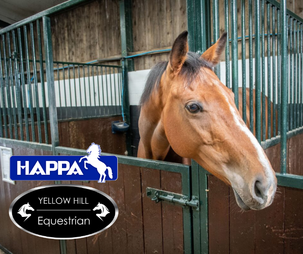 Giving rescued horses a new home... We are proud to be teaming up with HAPPA to help them refurbish their existing Walter Bartley stable block for horses and ponies who have been given a new start 