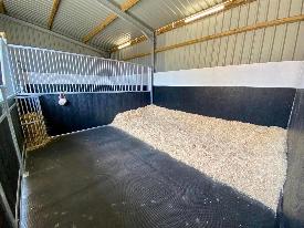 shavings woodchip horse bedding pendle plus yellow hill equine 